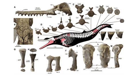 Image result for Task Manager Graphs