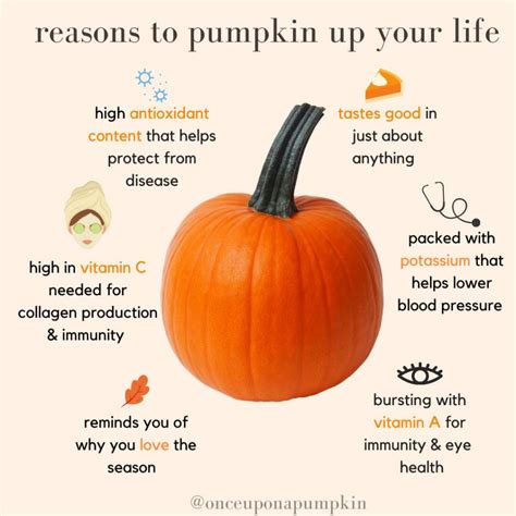 Health Benefits of Pumpkin - Once Upon a Pumpkin