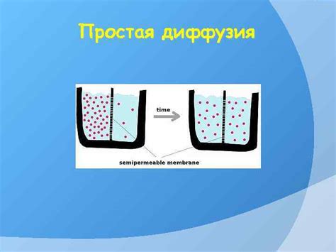 БИОЛОГИЧЕСКИЕ МЕМБРАНЫ Строение механизмы транспорта Гистогематические ...