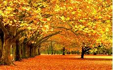 Fall Desktop Backgrounds For by Fall Desktop Backgrounds Wallpapers9 Fall Desktop Backgrounds For