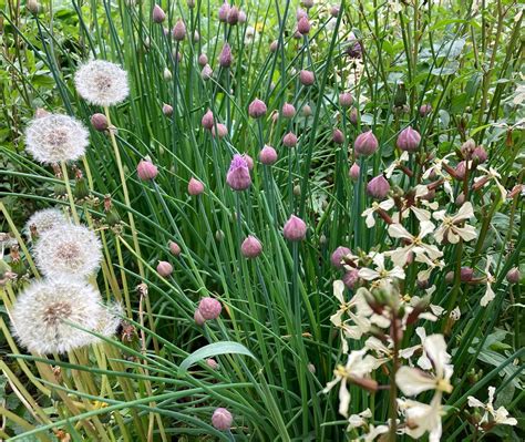 Boulder Guest House (@boulderguesthouse) • Instagram photos and videos