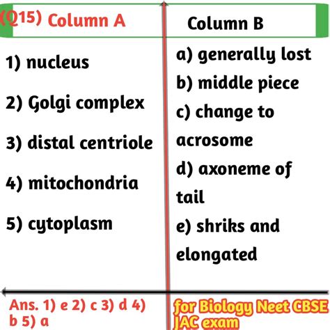 matching question examples in biology for class 12th exams - Biologysir