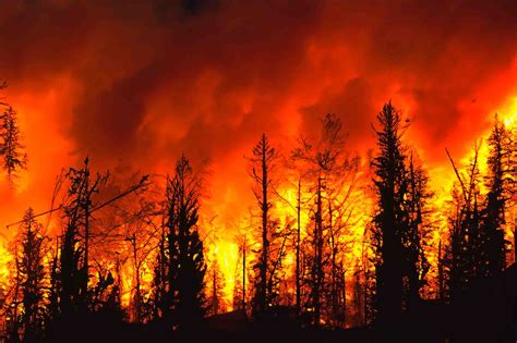 GCSE Geography The Challenge of Resource Management Revision - Internet Geography