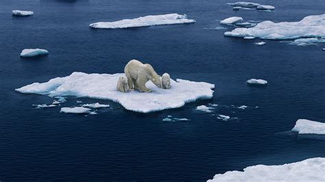 Older People 的图像结果