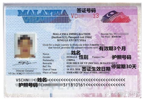 2022年马来西亚签证有几种 马来西亚签证如何办理 马来西亚签证攻略 - 知乎