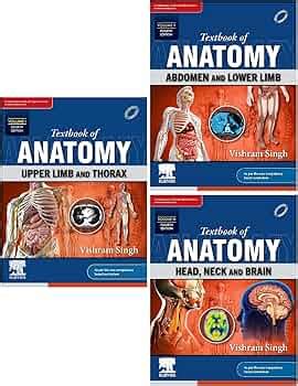 Textbook of Anatomy: Abdomen and Lower Limb, Vol II, 4e & Textbook of ...