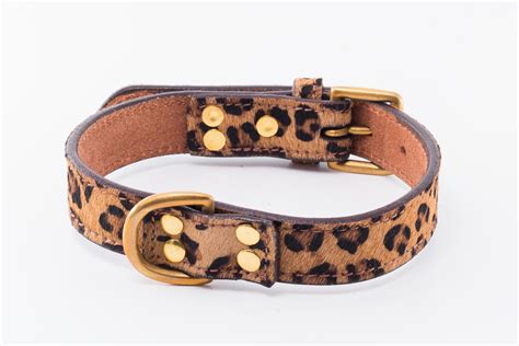 CHEETAH Designer Dog Collar by IWOOF.com™ in Designer Dog Accessories