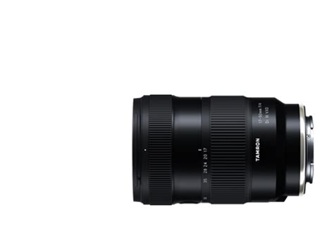 Digital Photography Lenses | Telephoto Lenses for Wildlife Photographers