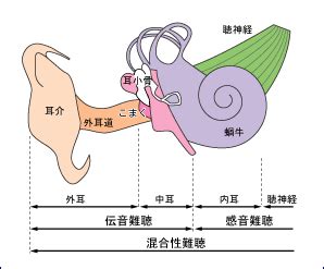 Image result for Computer Cable End Types