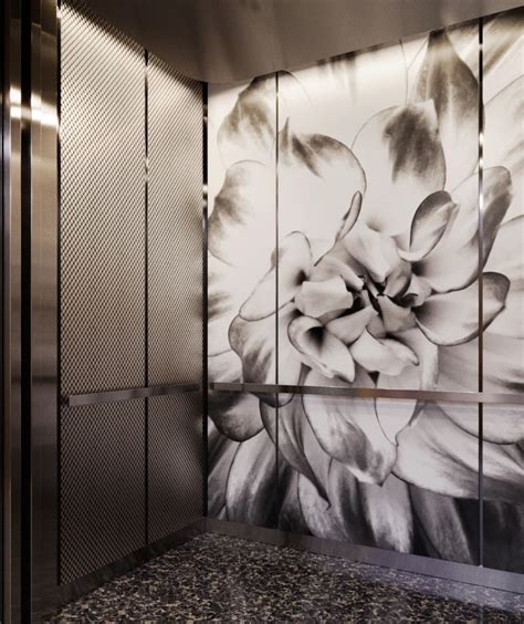 Elevator 的图像结果