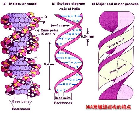 Image result for DNA Microarray Device