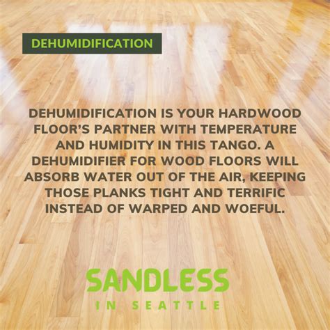Safeguard Your Charm: Optimal Dehumidifier for Wood Floors - Hardwood ...