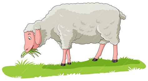 Sheep Eating Grass Clipart