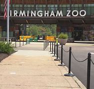 Image result for birmingham zoo news