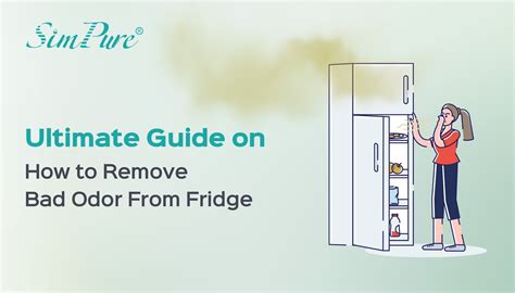 Ultimate Guide on How to Remove Bad Odor From Fridge
