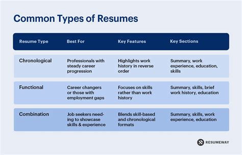 Types of Resumes: The Best Formats to Stand Out in 2025 | Resumeway