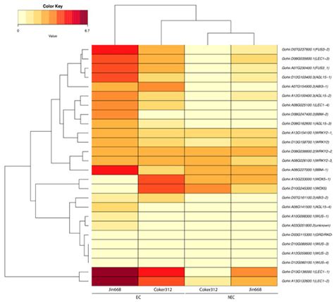 Plants | Special Issue : New Insights into Plant Somatic Embryogenesis ...