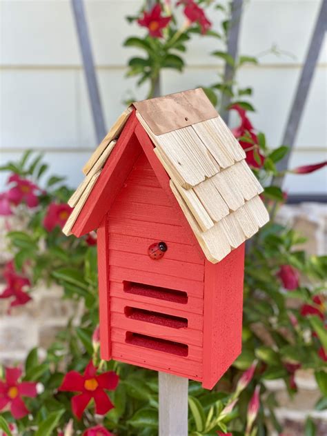 Ladybug Loft Ladybug House Teal
