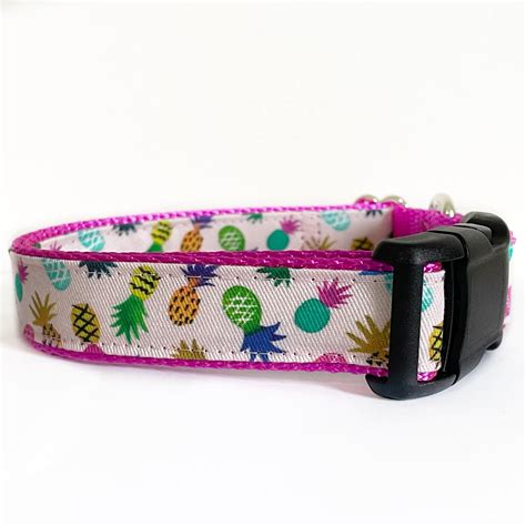 Pineapple Dog Collar – Sew Fetch Dog Company