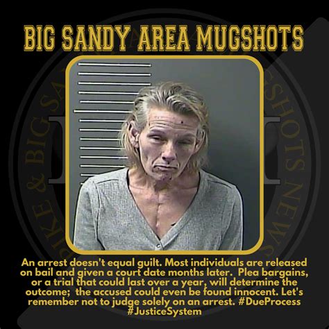 MELISSA JOHNSON - Big Sandy Area Mugshots News