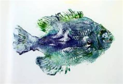 Fish Prints (Gyotaku) | Pasadena