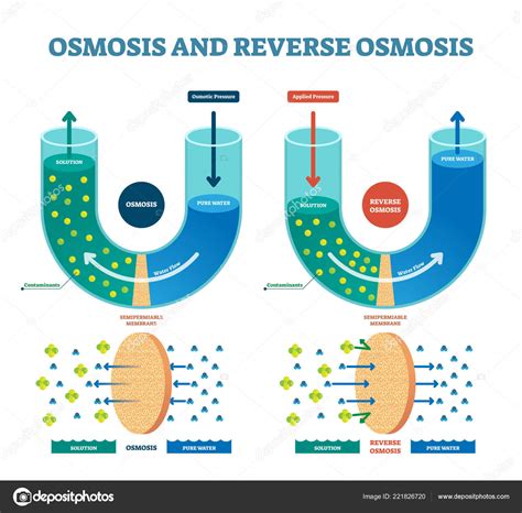 9 of the Best Reverse Osmosis Systems for Home Use in 2022 – World ...