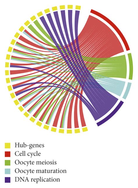 Bioinformatics 的图像结果