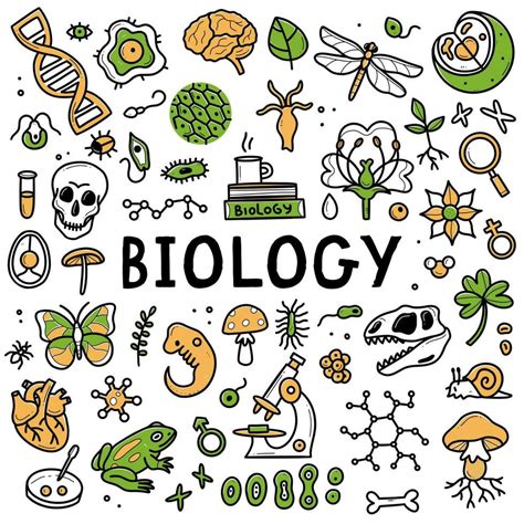 Biology Background Design 的图像结果