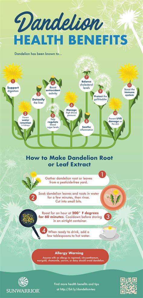 Dandelion Greens Benefits