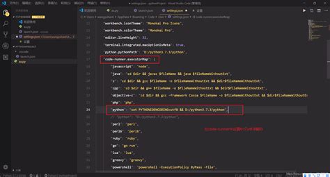 Visual Studio Code Python Code Runner Configuration 的图像结果