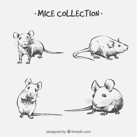 Computer mouse drawing Images - Free Download on Freepik