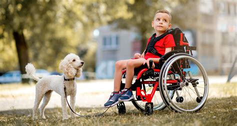 15 Interesting Facts About Spinal Muscular Atrophy - Facts.net