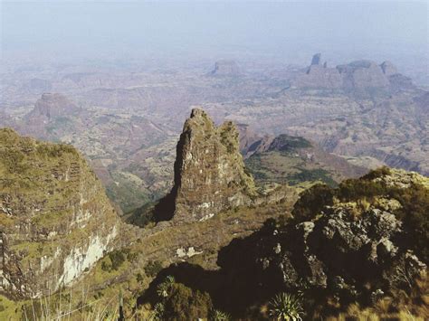 Ethiopian Highland Monkeys Travel Ideas · Traveljack