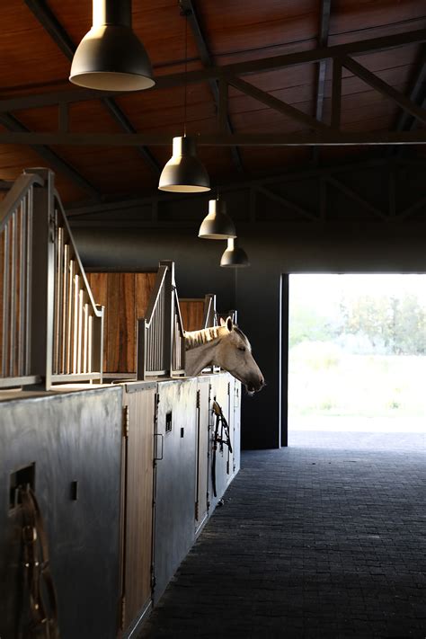 Stable 的图像结果