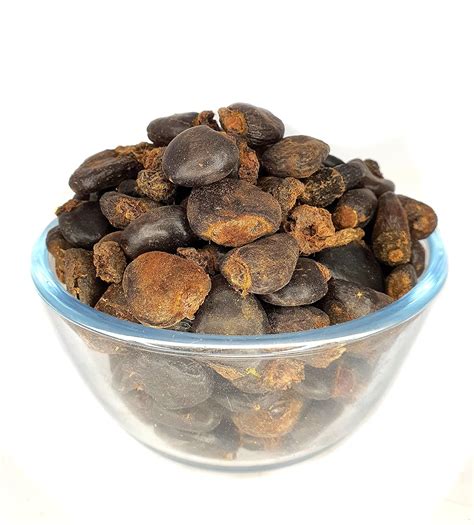 Masso Pansari Bhilawa Seeds Semecarpus Anacardium Seeds Marking Nut ...