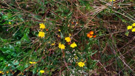 Der Prozess – enjoying the postapocalypse