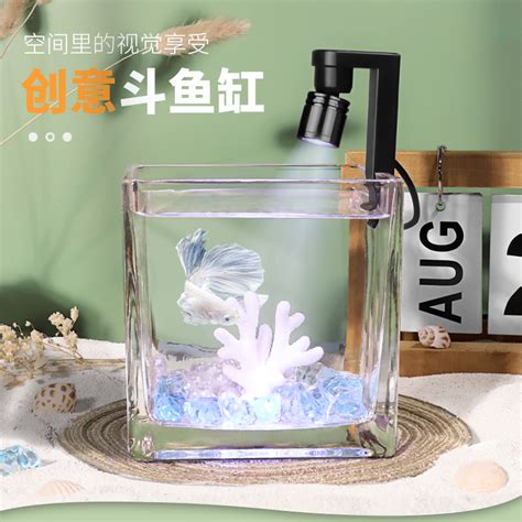 斗鱼什么礼物最多最新素材