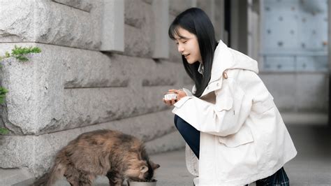 Revenge of Others on Disney+ Qatar | English Korean Spanish Castilian ...