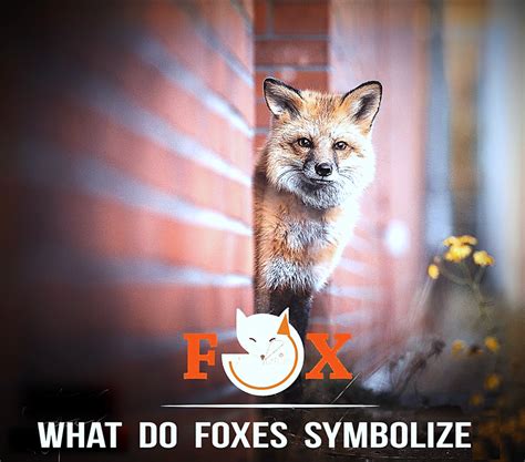 Fox Symbolism and Mythologies In Different Cultures & Countries - HubPages
