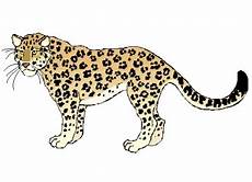 ausmalbilder tiere leopard ausmalbilder leopard ausdrucken ausmalbilder tiere leopard ausmalbilder leopard ausdrucken