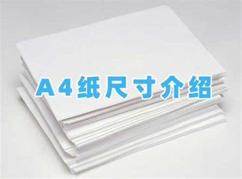 a4纸尺寸 标准a4纸尺寸大小是多少 - 六强百科网