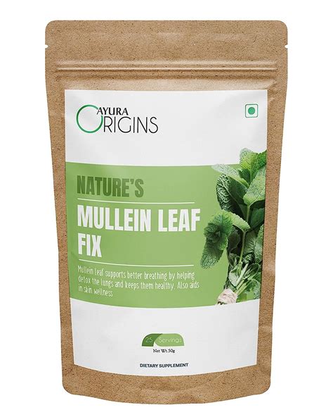 Buy AYURA ORIGINS Nature's Mullein Leaf Fix, Lungs Health, Lung Detox ...