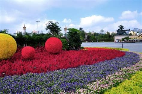 沪上这13个公园花坛换新亮相！来看美图→——上海热线侬好频道