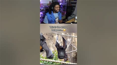 How Things Actually Work 的图像结果