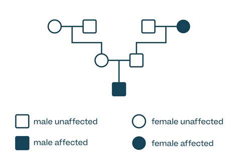 Genetics Biology Examples 的图像结果