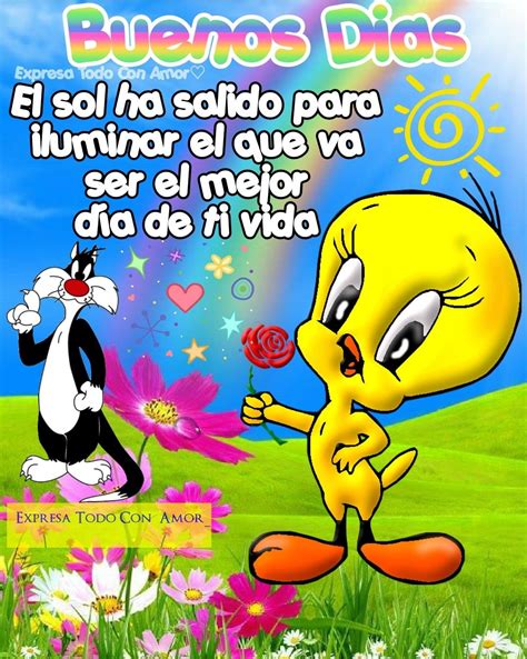 +50 Imágenes de Piolín con Mensajes de Buenos Días y Frases | Imágenes ...