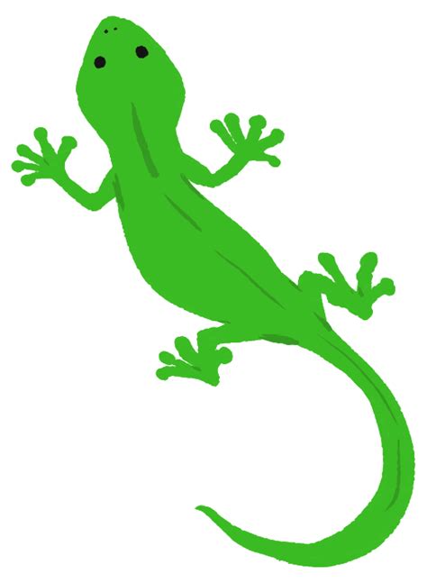 Image result for Read Python