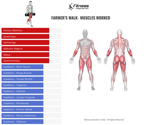 Farmers Walk Muscles Worked Strongman Series: The Farmer's Walk