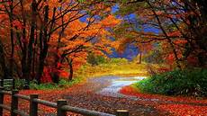 Fall Backgrounds 2019 by 10 Best High Definition Autumn Wallpaper Hd 1080p For Fall Backgrounds 2019