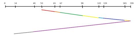 Scan Method in Operating System 的图像结果
